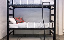 Griffin Bunked Bed With Ladder